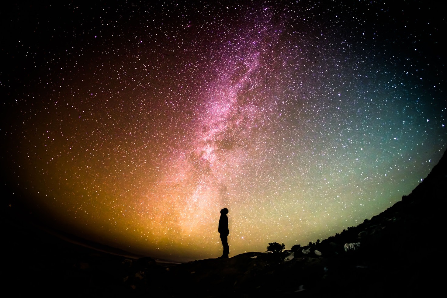 How Dao Avatar Transforms Traditional Teachings